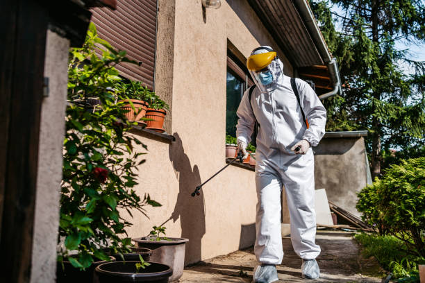 Best Pest Prevention Services  in Rio Bravo, TX