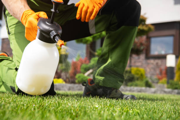 Best Bed Bug Extermination  in Rio Bravo, TX