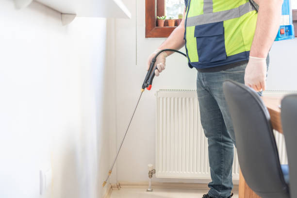 Flea Control Services in Rio Bravo, TX