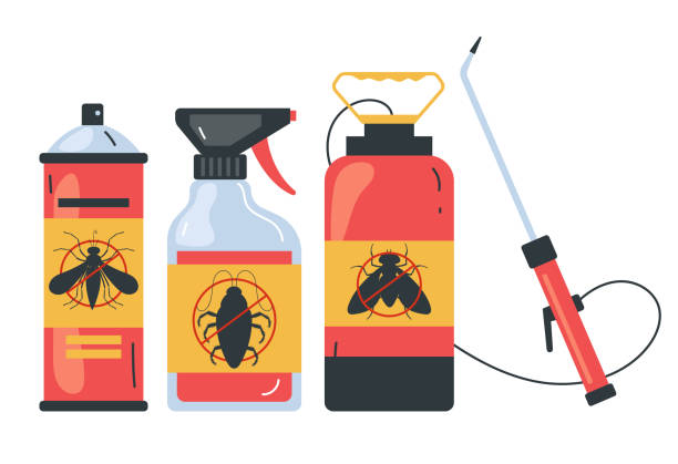 Insect Control in Rio Bravo, TX