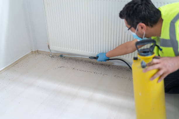 Best Pest Control for Restaurants  in Rio Bravo, TX