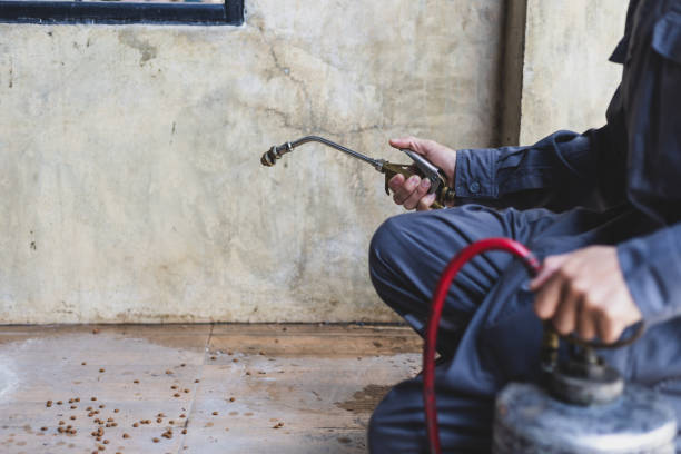 Best Pest Removal Services  in Rio Bravo, TX