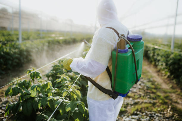 Trusted Rio Bravo, TX Pest Control Experts